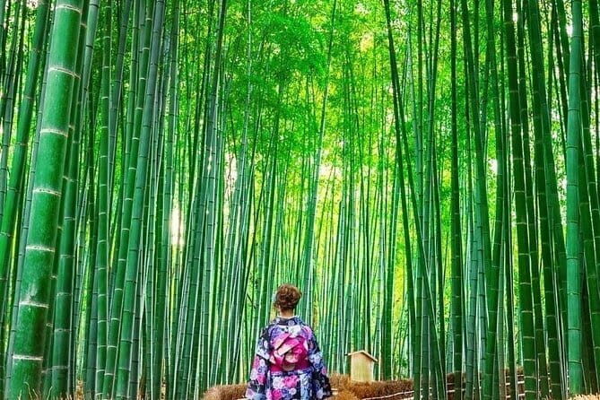 Guided Kyoto City Cherry Blossom One Day Private Tour - Kiyomizu-dera’s wooden stage and the Pure Water legend