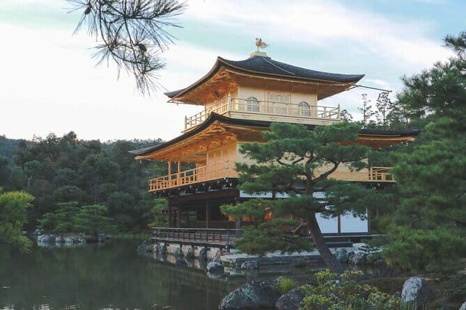 Guided Kyoto City Cherry Blossom One Day Private Tour - Kinkaku-ji Golden Pavilion: gold leaf and the story behind the rebuild