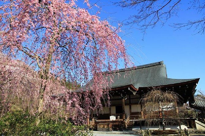 Half Day Kyoto Sagano Bamboo Grove & Arashiyama Walking Tour - Getting to Arashiyama: Public Trains, Real-Time Timing