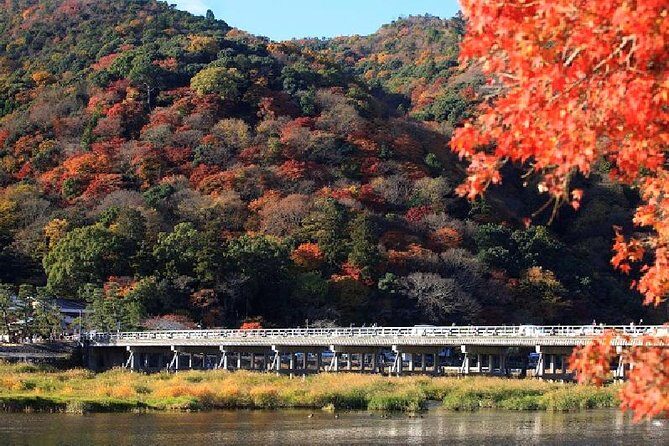 Half Day Kyoto Sagano Bamboo Grove & Arashiyama Walking Tour - Meeting Point at JTB Sunrise Tours Desk in Kyoto