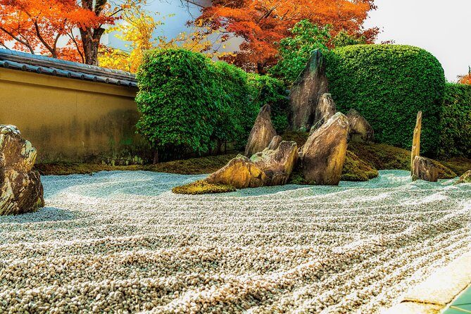 Hidden Kyoto E-Biking tour - The tea stop: a small break with a long story