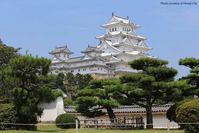 Himeji Castle and Akashi Kaikyo Bridge Walking Tour from Kyoto - Key things that make this tour worth your time