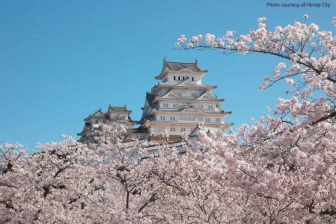 Himeji Castle and Akashi Kaikyo Bridge Walking Tour from Kyoto - Returning to Kyoto: plan for train time, not sightseeing