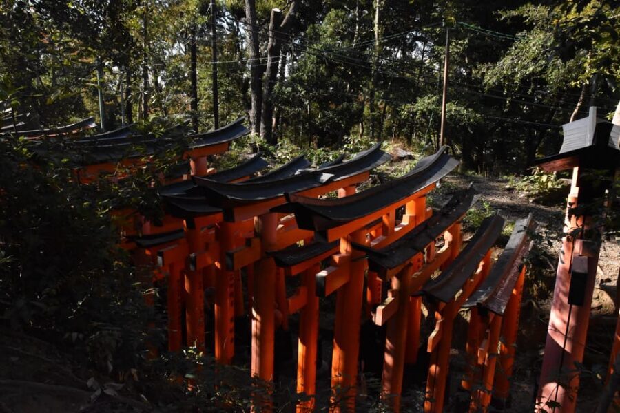 Inside of Fushimi Inari - exploring and lunch with locals - The $67 price: how it adds up for a 4-hour day