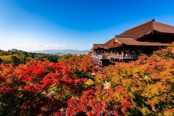 Kiyomizu Temple and Backstreets of Gion, Half Day Group Tour - Key highlights to know before you go