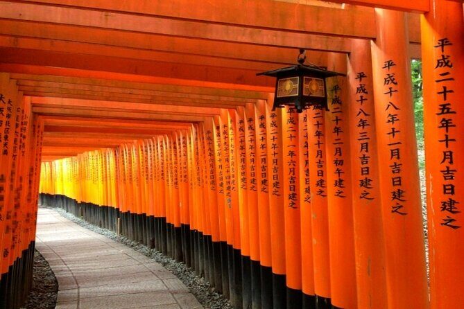 Kyoto 1 Day Golden Route Bus Tour - Lunch break in Kyoto: 50 minutes you should actually use