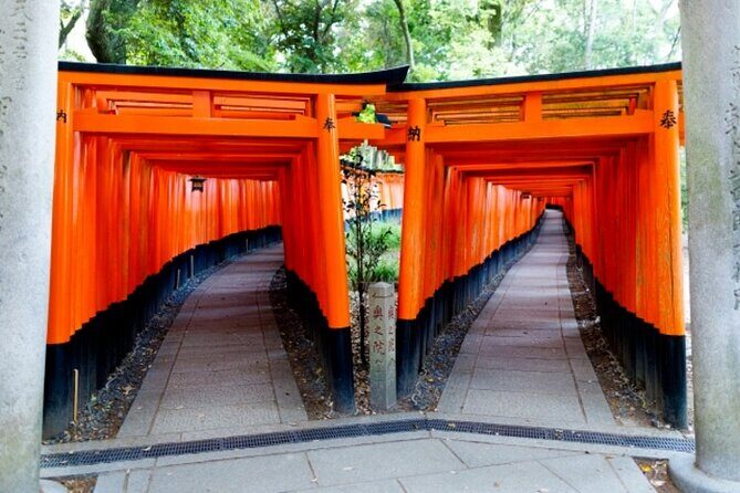 Kyoto 1 Day Golden Route Bus Tour - Stop 3: Tenryu-ji and Arashiyama’s bamboo walk