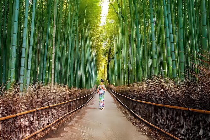 Kyoto 1 Day Suntory Yamazaki Distillery Tour and Asahi Art Museum - Price and value: is $163.30 worth it?