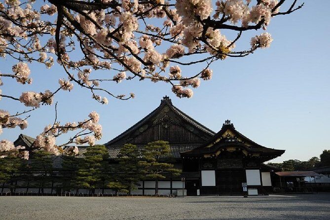 Kyoto 1 Day Tour from Kyoto - Kyoto Imperial Palace: court atmosphere with a closure-friendly swap