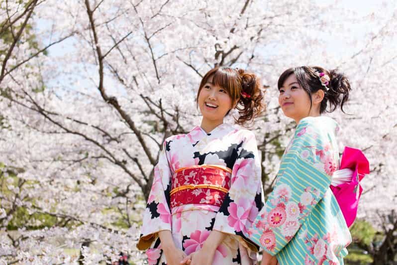Kyoto: 1 Day Traditional Japanese Kimono Rental Experience - Choosing Your Kimono: Komon Options, Fit Limits, and What You Can Count On