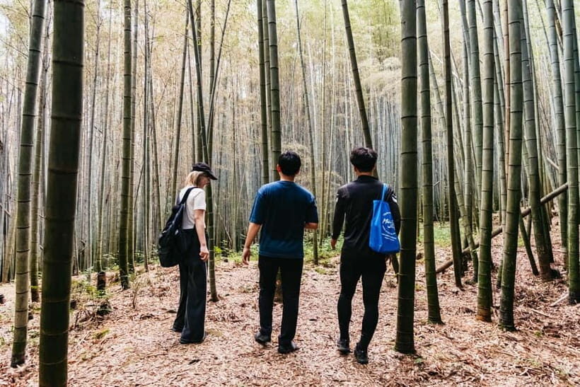 Kyoto: 3-Hour Fushimi Inari Shrine Hidden Hiking Tour - How hard is it really: 7 km, stairs, and forest footing