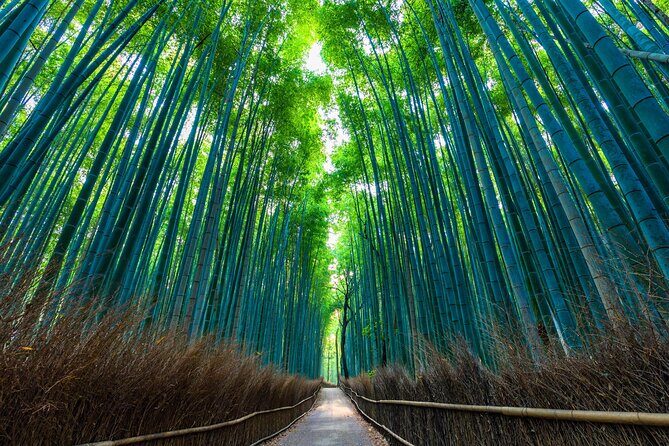 Kyoto 6hr Instagram Highlights Private Tour with Licensed Guide - How the custom 6-hour format keeps Kyoto from feeling chaotic