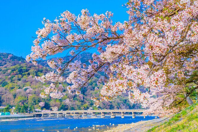 Kyoto 6hr Instagram Highlights Private Tour with Licensed Guide - Optional add-ons: Kennin-ji gardens and Uji’s Phoenix Hall at Byodoin