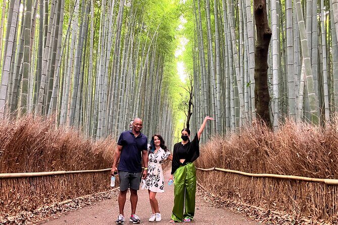 Kyoto 8hr Private Tour with Government-Licensed Guide - Should you book this private Kyoto day?