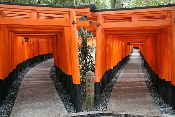 Kyoto Afternoon Tour from Kyoto or Osaka - Kiyomizu-dera: the climb, the terrace views, and shopping lanes with atmosphere