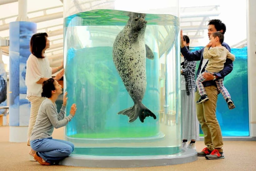 Kyoto Aquarium Admission Ticket - Umekoji Park sets the mood before you even enter