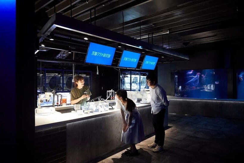 Kyoto Aquarium Admission Ticket - Price and timing: is $16 worth a full one-day visit?