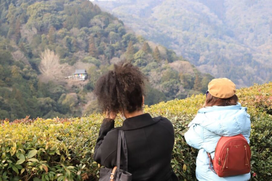 Kyoto Arashiyama Bamboo Forest Customized Private Tour - How the guide improves the experience (especially for photos)
