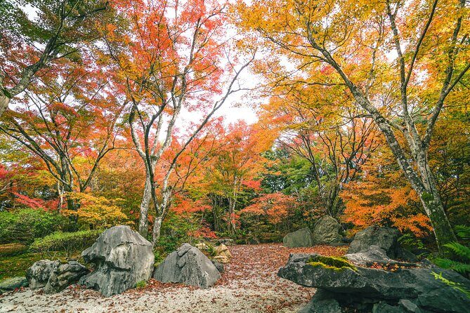 Kyoto Arashiyama Bamboo forest & Garden Half-Day Walking Tour - Bamboo Forest Street: how to see the grove without the chaos