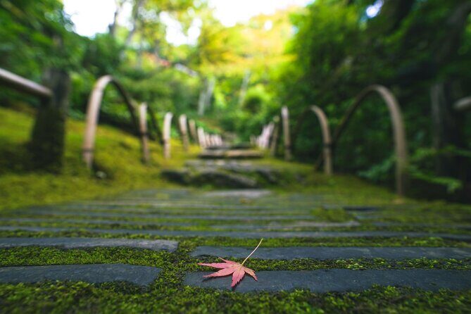 Kyoto Arashiyama Bamboo forest & Garden Half-Day Walking Tour - Tenryu-ji Temple: Zen paintings, garden calm, and World Heritage energy