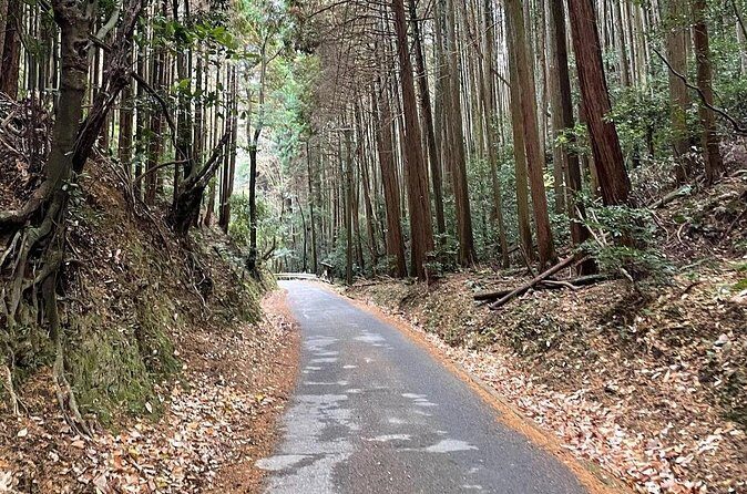 Kyoto Arashiyama Bamboo Forest Hiking Tour(Hidden Temples) - Adashino Nenbutsu-ji: the temple stop that changes the mood