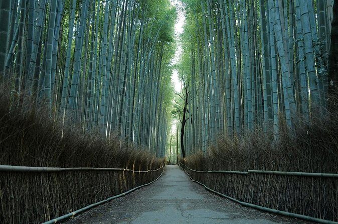 Kyoto Arashiyama Bamboo Forest Hiking Tour(Hidden Temples) - Guides you might meet: Taira and Daizen as examples