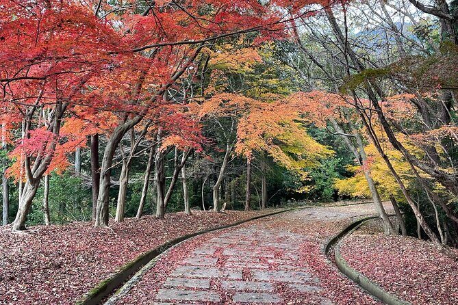 Kyoto Arashiyama Bamboo Forest Hiking Tour（Hidden Temples） - Arashiyama Bamboo Forest: more than the main photo path