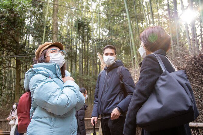 Kyoto Arashiyama Bamboo Forest & Scenery Customized Private Tour - Jojakkoji and Nisonin: hillside temples and maple energy