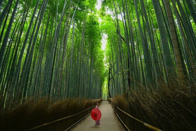 Kyoto: Arashiyama Bamboo, Temple, Matcha, Monkeys & secret spots - Stop 1: Arashiyama Park and the Bamboo Grove Lead-In