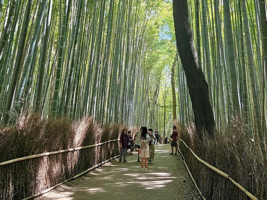 Kyoto: Arashiyama Bamboo, Togetsukyo bridge, Sanso, and more - Practical comfort tips (so your feet stay friends)