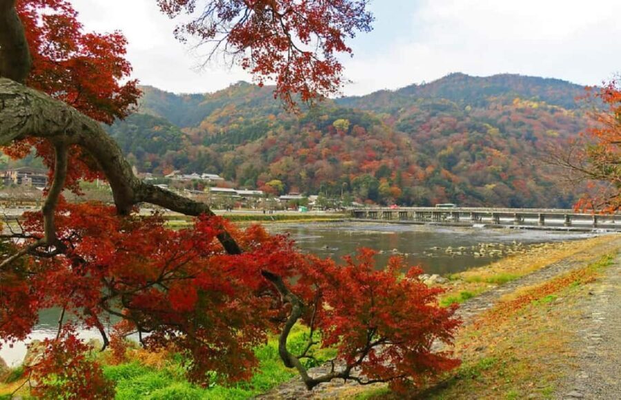 Kyoto: Arashiyama Bamboo, Togetsukyo bridge, Sanso, and more - Tenryuji Temple’s Zen garden: the calm counterweight