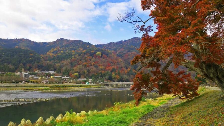 Kyoto: Arashiyama Bamboo, Togetsukyo bridge, Sanso, and more - Okochi Sanso Villa gardens: a quieter kind of Kyoto