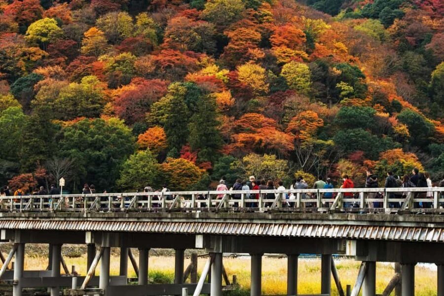 Kyoto: Arashiyama Bamboo, Togetsukyo bridge, Sanso, and more - Kimono Forest illumination: modern art in an old district