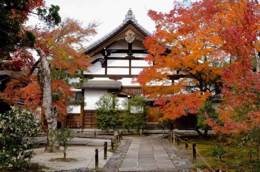 Kyoto: Arashiyama Bamboo, Togetsukyo bridge, Sanso, and more - Sagano Bamboo Forest: why the guide matters in a “picture perfect” place