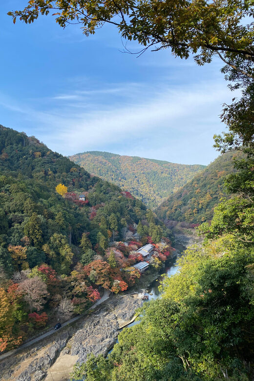 Kyoto: Arashiyama Guided Tour, Bamboo, Monkey, Zen Temple - Walking the Bamboo Forest Path Like You’re in the Scene