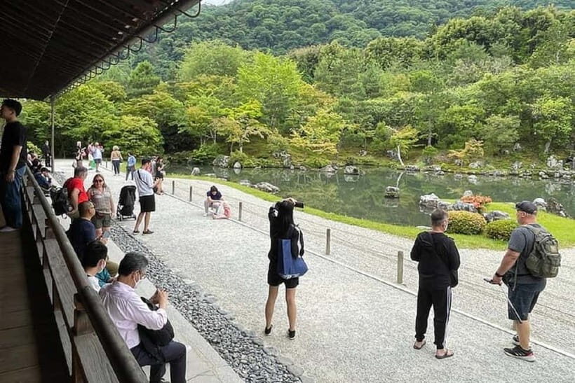 Kyoto: Arashiyama Guided Tour, Bamboo, Monkey, Zen Temple - What You Actually Get for $74: Value in a Tight, Guided Route