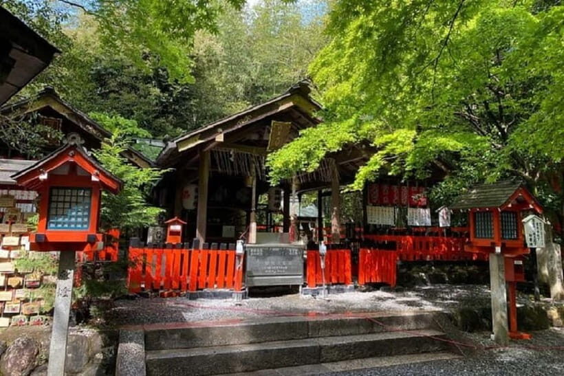 Kyoto: Arashiyama Guided Tour, Bamboo, Monkey, Zen Temple - Who Should Book This Arashiyama Tour (and Who Might Not)