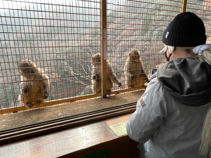 Kyoto: Arashiyama Guided Tour, Bamboo, Monkey, Zen Temple - Starting at Saga-Arashiyama Station: Getting Set for a Smooth 3 Hours