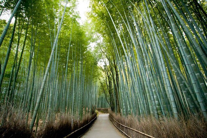 Kyoto Arashiyama Rickshaw Tour with Bamboo Forest - Timing your ride: starting early for calmer bamboo photos