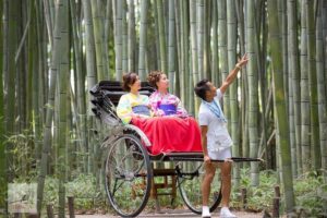 Kyoto Arashiyama Rickshaw Tour with Bamboo Forest - The on-foot detour: where the best bamboo needs shoes