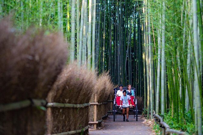 Kyoto Arashiyama Rickshaw Tour with Bamboo Forest - Comfort, seats, and what the ride actually feels like