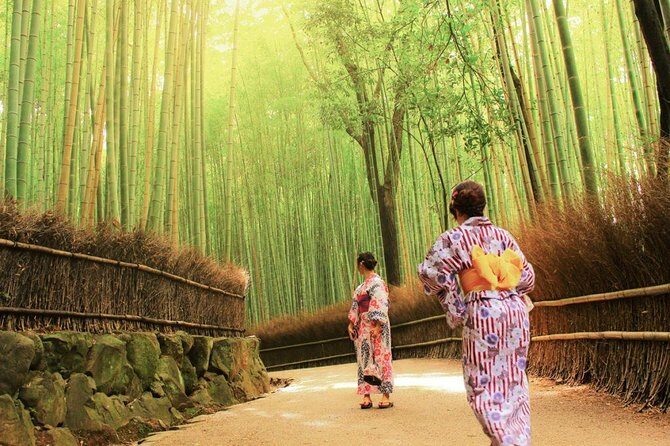 Kyoto Arashiyama & Sagano Bamboo Private Tour with Government-Licensed Guide - Key things I’d watch for