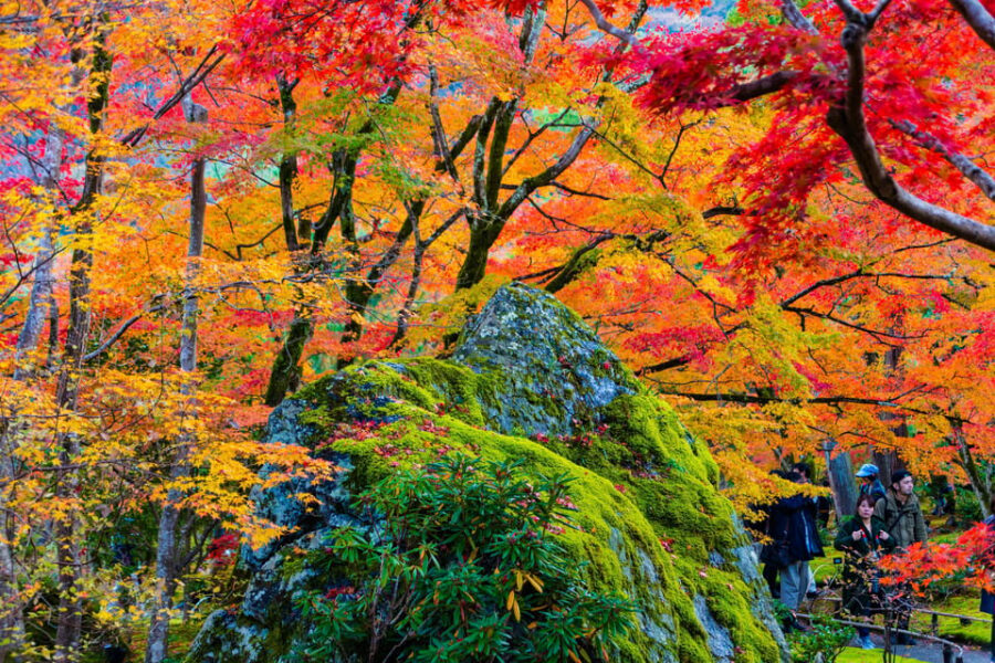 Kyoto: Arashiyama Tour with optional Sagano Romantic Train - Why Arashiyama Works So Well in One Half-Day