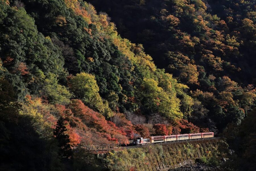 Kyoto: Arashiyama Tour with optional Sagano Romantic Train - Choosing Your Starting Point: Torokko Arashiyama vs JR Umahori