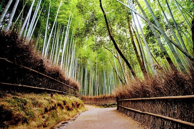 Kyoto Arashiyama Walking Tour: Bamboo, Monkeys, Gardens & Secrets - Bamboo Forest Trail: how to enjoy it instead of just shooting it