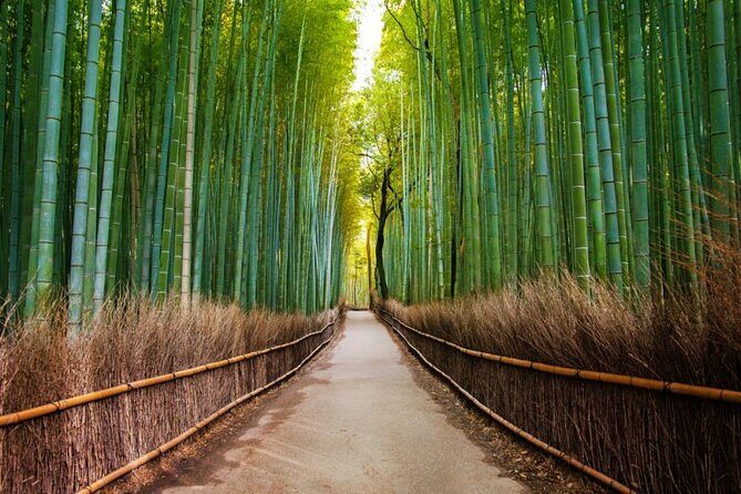 Kyoto Arashiyama Walking Tour: Bamboo, Monkeys, Gardens & Secrets - Togetsukyo Bridge: the viewpoint before the climb