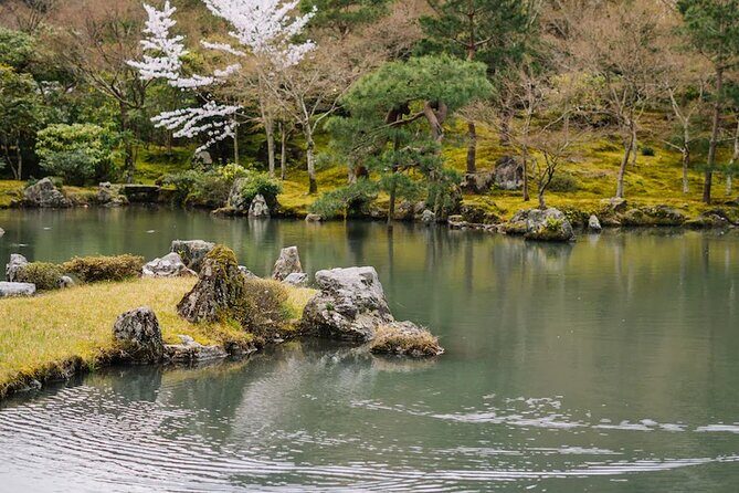 Kyoto Arashiyama Walking Tour: Bamboo, Monkeys, Gardens & Secrets - Monkey Park Iwatayama: the hike, the payoff, and safety reality