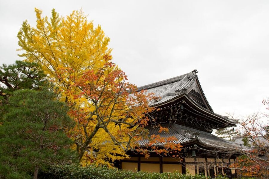 Kyoto: Authentic Biking Half Day Experience - Entering Kyoto’s rhythm on a Mamachari