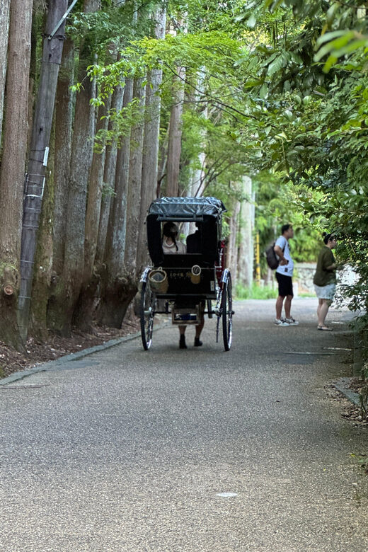 Kyoto: Avoid the Crowds at the Hidden Gems of Arashiyama - Key moments you shouldn’t miss
