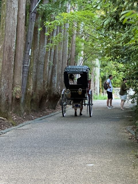 Kyoto: Avoid the Crowds at the Hidden Gems of Arashiyama - Togetsu Bridge and Arashiyama Park observatory: the “wow” start without the chaos
